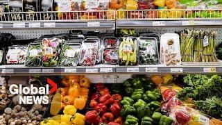 Food inflation: More competition needed to tame high grocery prices in Canada, report argues