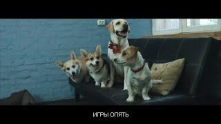 Садик для собак Dog City. Как это?