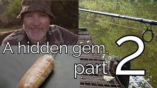 Carp fishing - a hidden gem of a Staffordshire pool (part 2)