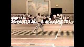 Tong-Il Taekwondo Form by Grand Master Scott McNeely