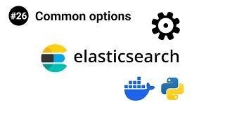 ElasticSearch in Python #26 - Common options