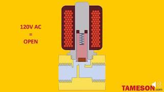 Water Solenoid Valve 120V | Tameson