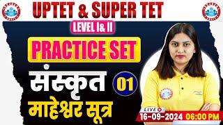 UPTET & SUPER TET 2024 | SUPER TET Sanskrit Practice Set #01 | माहेश्वर सूत्र | UPTET Sanskrit PYQ's