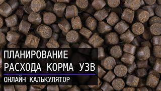 Как рассчитать количество корма для рыбы в УЗВ