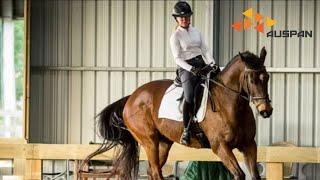 Dressage Arena - Dryandra Equestrian Centre Roof Lift | AUSPAN Group