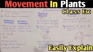 Movement In Plants | Autonomic Movement | Tactic, Turgor Pressure & Growth Movement | Class 12