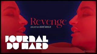 REVENGE -Bande-annonce du film X du mois