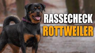 ROTTWEILER Rassecheck! - Rasseportrait, Rassebeschreibung, Informationen zur Rasse