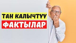 Кызыктуу маалыматтар / Тан калыштуу фактылар