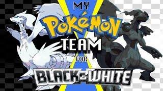 My Favorite Pokémon Team for Black and White