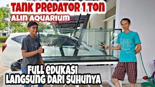 Tank Predator Baru !!! Review dan Edukasi bersama Alin Aquarium Pengrajin Terlama dari Karawang.