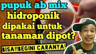 pupuk ab mix hidroponik dipakai untuk tanaman dipot?