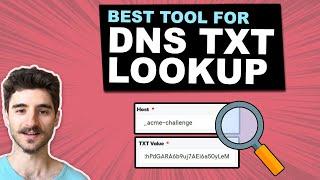 Best DNS TXT Lookup Tool