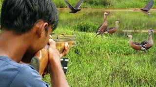 3 Hari berburu 100 burung belibis,musang liar dan burung sawah siang - malam