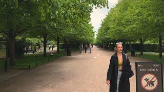 Exploring London's Royal Regents Park | 4K Walking Tour