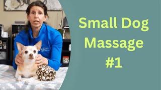 Small Dog Massage Techniques | Part 1