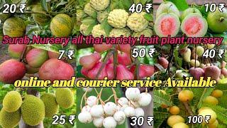 plant Surab Nursery all thai variety fruit plant nursery Thai and Indian fruit Plants original