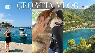 CROATIA PART 2: KORCULA ADVENTURES, ROAD TRIP, WINERIES, TEDDY AND SCUBA DIVE SITES.