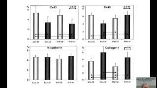 Gap Junction Remodeling in the Atrial Fibrillation Arrhythmogenic Substrate