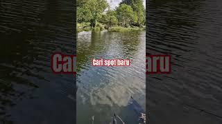 Mancing Kolam ikan @MancingKomedi #fishing #fypyoutube