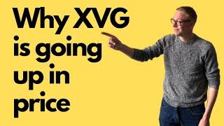 Verge (XVG) can 10x your money