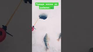 Правда жизни на рыбалке! Рыбалка  она такая! #fishing #рыбалка #рыбаквко #ловивкайф