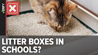 There’s never been evidence of a school providing litter boxes for students ‘identifying as cats’