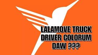 Lalamove truck driver tinikitan ng MMDA (Colorum daw??)