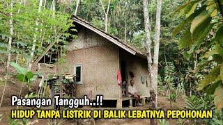 Tangguh !! Puluhan Tahun Sepasang Lansia Tinggal Di Gubuk Kecil Tanpa Listik Pinggir Hutan