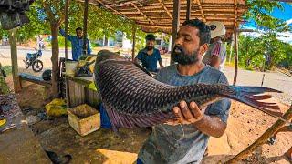 WoW! The Street Village Fishmen Show Big Catla Fish Cutting Skills Beautiful Village Fish Maeket