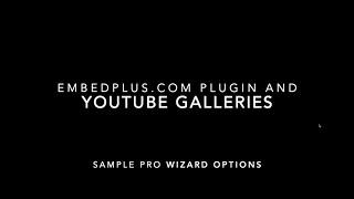 YouTube WordPress Plugin Pro Settings for Galleries