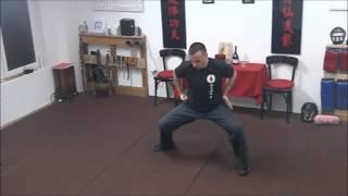 Gung gee fook fu kuen - hung gar kuen