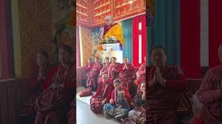 some preciouse video for my respected audiance tashidelek enjoy #rinpoche #shrortvideos