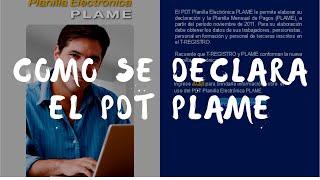 Tutorial como declarar PDT Plame por primera vez