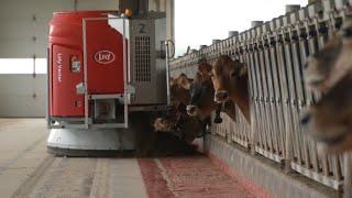 Lely North America: Flexibility in Dairy Farming