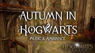 Autumn at Hogwarts | Ambiance | Stunning POV Views of the Castle, Turning Trees, & Lakeside Views