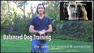 Balanced Dog Training and Corrections in Dog Training - Robert Cabral