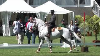 Tiago Alves - Working Equitation Speed test one handed