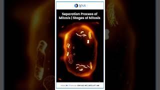 Mitosis #csirnet #ytshorts #mitosis @IITJAM_GATB_CUETPG_TIFR