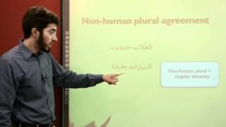 Al Kitaab 2.2 | Non-human Plural Agreement | Learn Arabic Grammar for Beginners