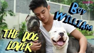 Boy William Cerita tentang Dua Anjing Kesayangannya