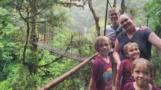 Tree Trek Boquete, Panama Hanging Bridge Tour, Puente Colgante