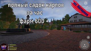 оз. Янтарное . Садок за час . Фарм 600+ . Русская рыбалка 4 . Фарм РР4 . Где клёв ?