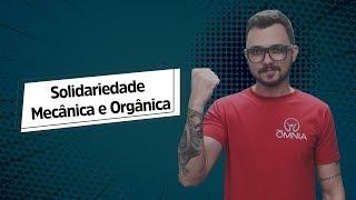 Solidariedade Mecânica e Orgânica - Brasil Escola