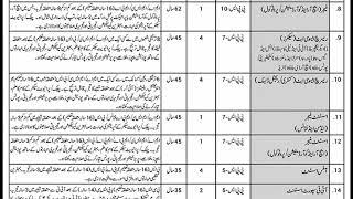 Special Investment Facilitation Council Jobs