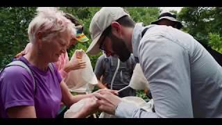 Australian Geographic Expedition to Lord Howe Island