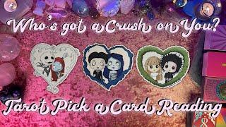 Who's Got a Crush On You? Will They Make a Move? Tarot Love Pick a Card Reading