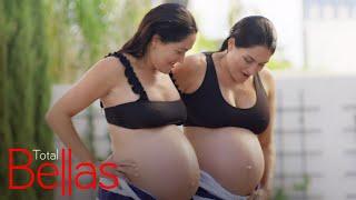 Follow Nikki & Brie Bella's Pregnancy Story on "Total Bellas" | E!