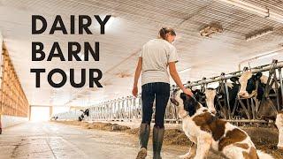 Guided Barn Tour! Modern Dairy Farm Tour (Part 1)