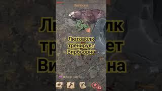 Вирбьорн Grim soul survival. Лютоволк красавчик, сделал всё за меня) Догонялки